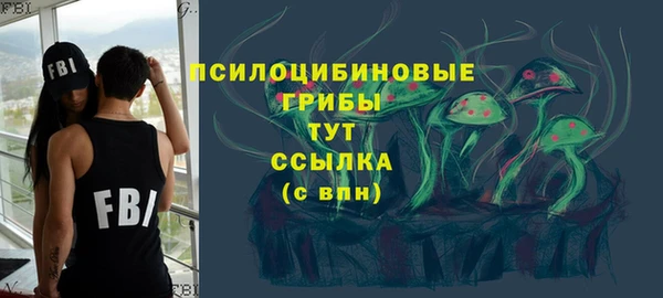 a pvp Алексин