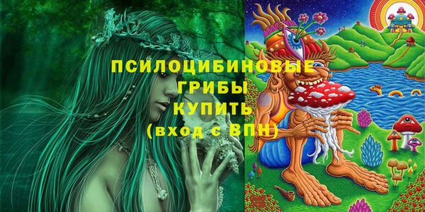 a pvp Алексин